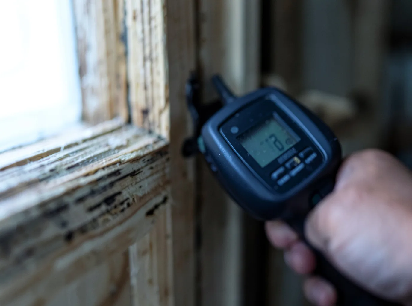 Moisture Inspection And Documentation in Buckeye, WV
